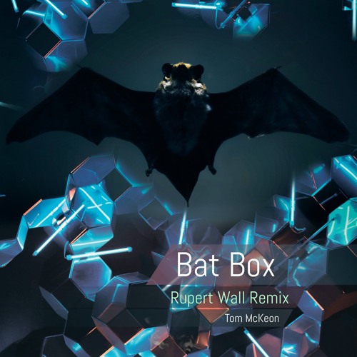 Premiere : Tom McKeon - Bat Box [RUPERT WALL REMIX]