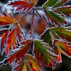 Winter 2025 Deep House mix