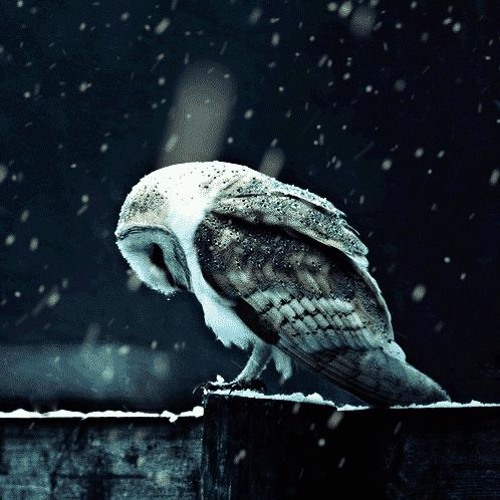 [FREE] Winter -Checkça- Prod Boom Bap Instrumental