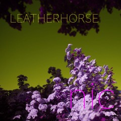 Leatherhorse