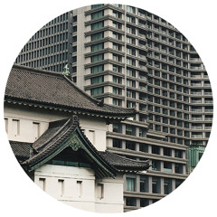 The Electricity (Tom Vernon Remix)