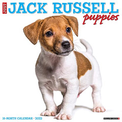 [Download] EPUB 💘 Just Jack Russell Puppies 2023 Wall Calendar by  Willow Creek Pres