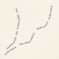 The Observatory - Endurance (Live)