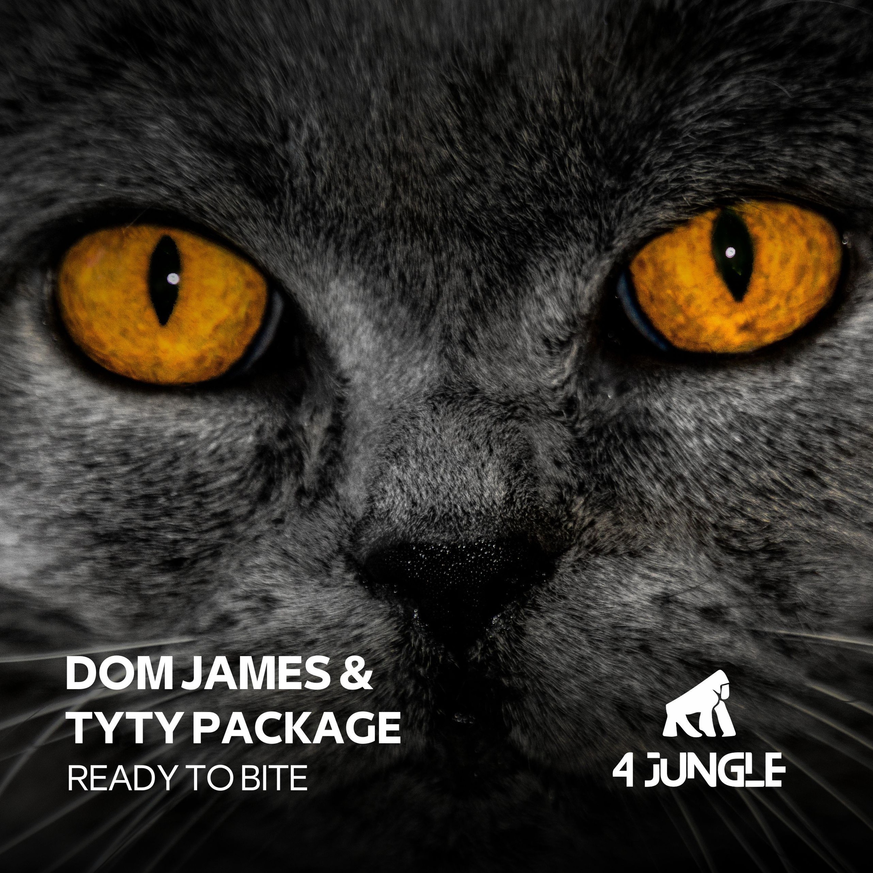 4JUNGLE078: Tyty Package, Dom James - Ready To Bite episode artwork