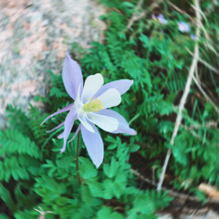 Resuscitate - Unreleased