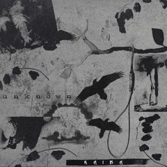 XX (feat. GIZMO & NIKOLAI RYA)