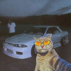 RALLY FUNK (Ultra Slowed)