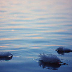 A Life That's Meant For Me