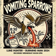 Luke Hunter @ Vomiting Sparrows - Burning Man 2024