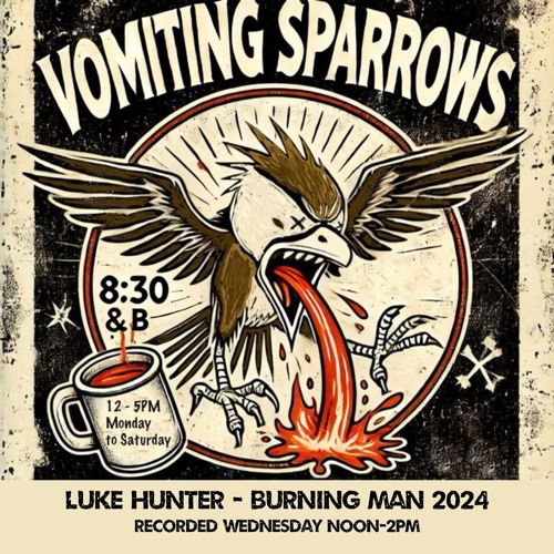 Luke Hunter @ Vomiting Sparrows - Burning Man 2024