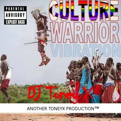 DJ ToneyX - Culture Warrior Vibration