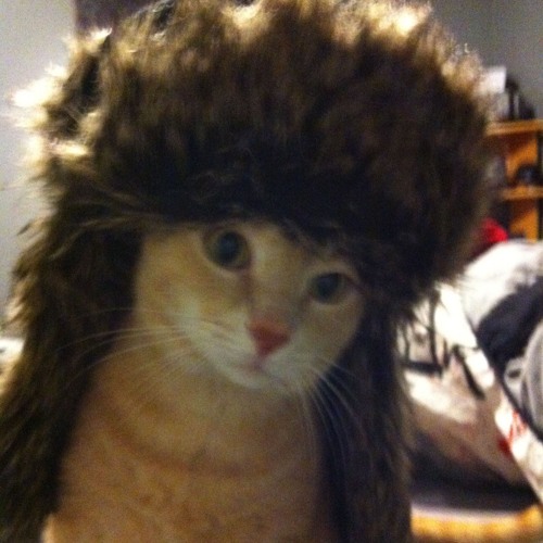 fat wads prod shinmi