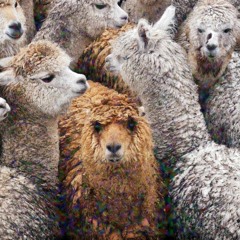 Family as Fuck (feat. Curren$y)