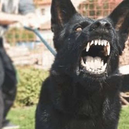 What’s in it for me?