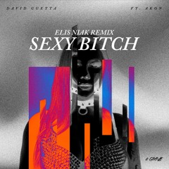 David Guetta Ft. Akon - Sexy Bitch (Elis Niak Remix)