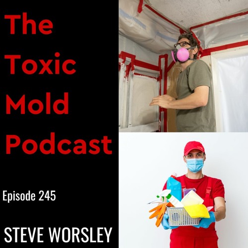 EP 245: Toxic Mold Remediation by the Pros