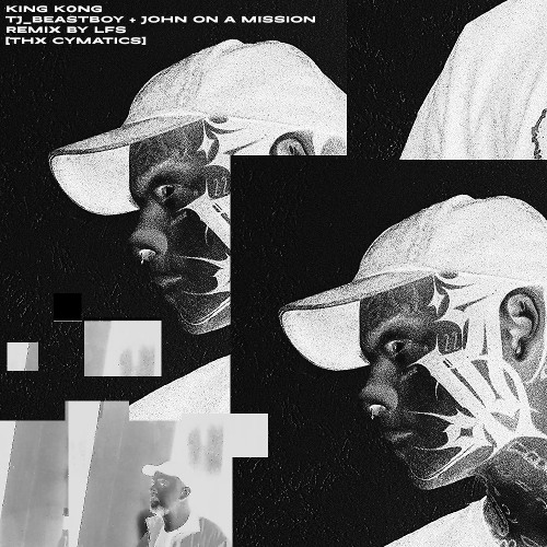 KiNG K0NG RMX BY LFS