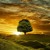 Artwork for Relaxing Music Morning Light | Music for Relaxation