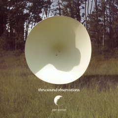 thru sounds observations