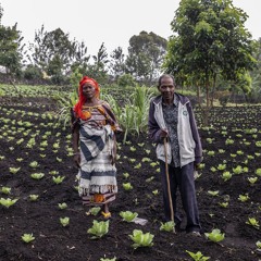 La FAO en minutos – 14 de abril de 2025