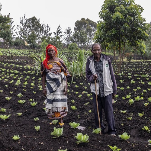 La FAO en minutos – 14 de abril de 2025