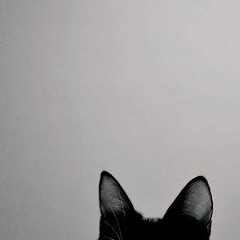 [무료비트/free]기리보이 X 서동현 타입비트 / 멜로디 짜기 좋은 비트 - A cat's dream