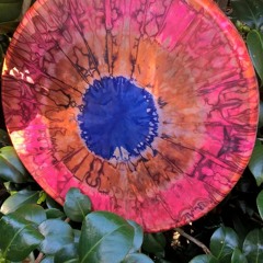 SEEDS AND  PLANT YOUR FEET.mp3