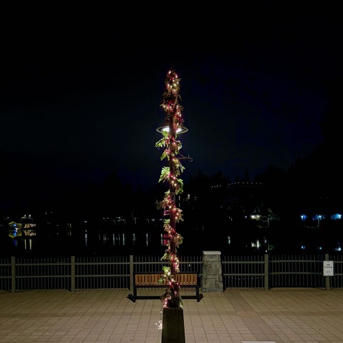 What do you think I said?