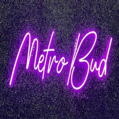 MetroBud (Prod. BridgeStudiosNY)