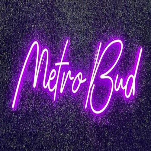 MetroBud (Prod. BridgeStudiosNY)