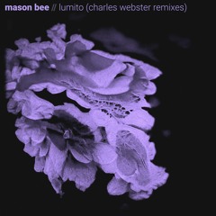 PREMIERE : Mason Bee - Lumito (Charles Webster Deep Dub)