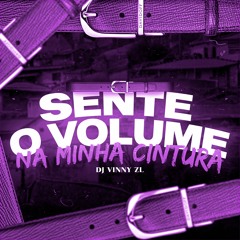 SENTE O VOLUME NA MINHA CINTURA - MCS GW E MN (DJ Vinny ZL)