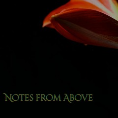Notes From Above