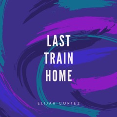 Last Train Home - John Mayer (cover)