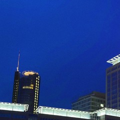 bright lights/big city