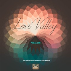 02. Picklejam - Love Valley (Martin Brodin remix)