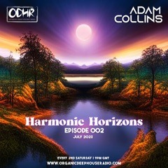 ODH-RADIO Resident ADAM COLLINS (HARMONIC HORIZONS  02 )