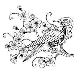 Variations