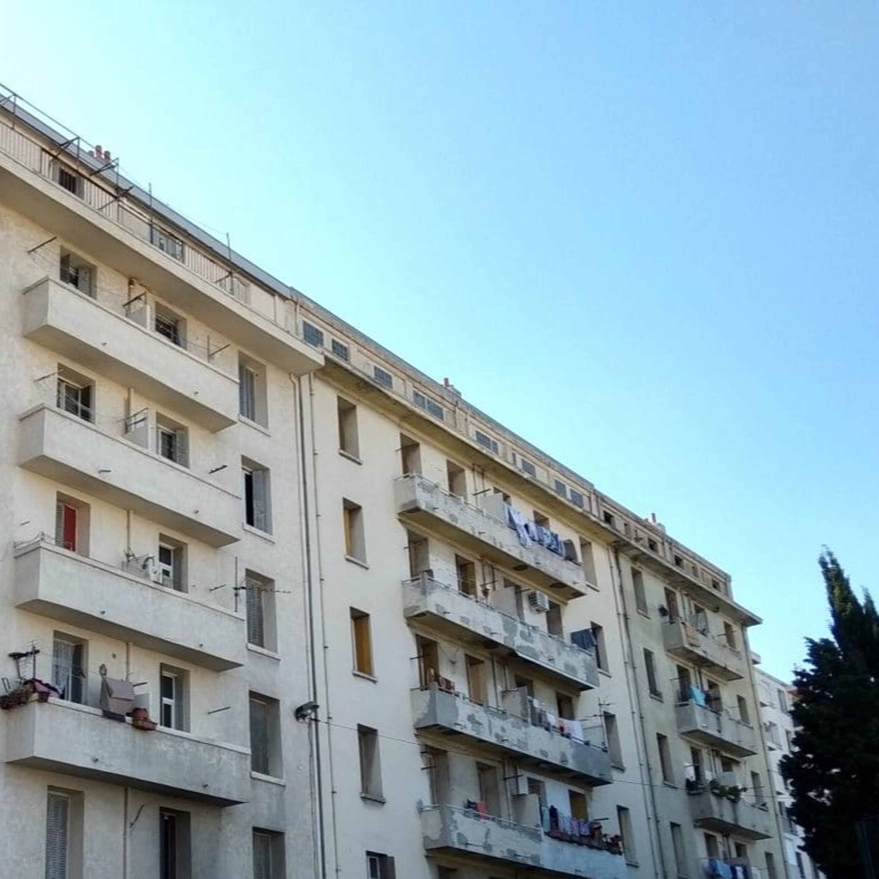 immobilier-company