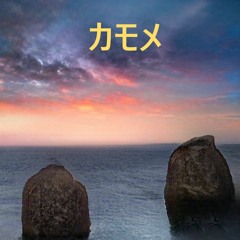 seagulls カモメ
