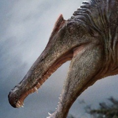 Funk x rkt super slowed