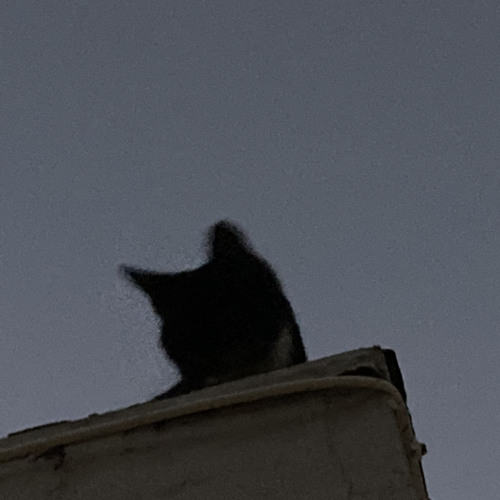 écoute chérie(slowed)