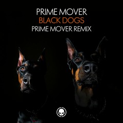 Prime Mover - Black Dogs (Prime Mover Remix) - Skullduggery