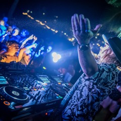 Van Der Life @ Bloom Festival (Airlie Beach)
