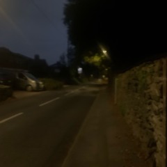 whimper / tse1925.mp3