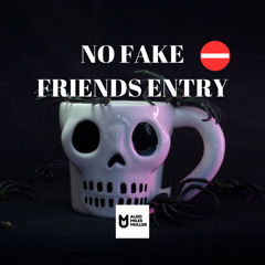 NO FAKE FRIENDS ENTRY