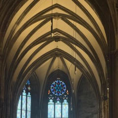 Double Drops R-kitektor - TRIBEDELIK