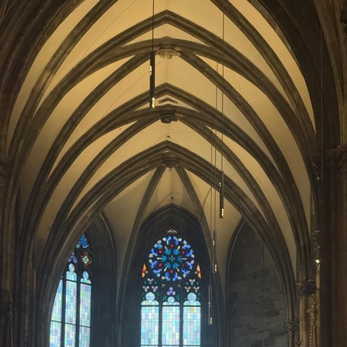 Double Drops R-kitektor - TRIBEDELIK