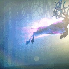 Mundo Magico Extended