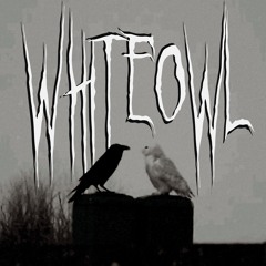 whiteowl